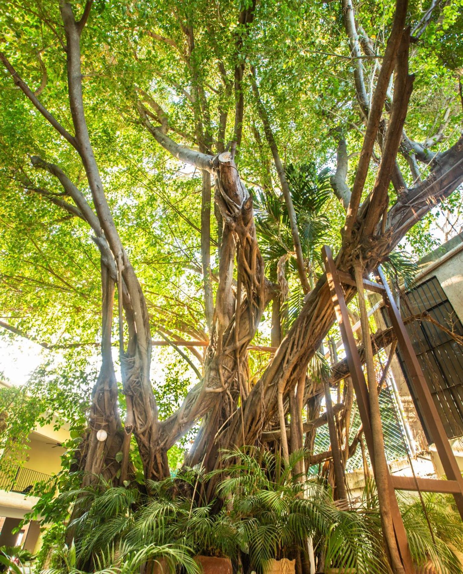 Acqua In Bocca Hotel Merida Exterior photo